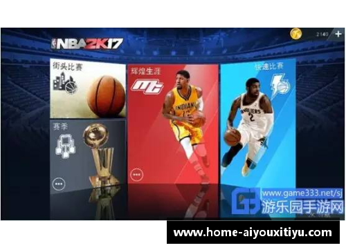 AYX爱游戏NBA音乐：篮球魅力与城市文化的和谐旋律